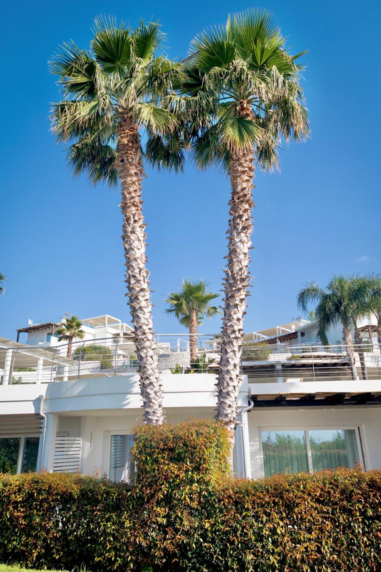 Infinity Resort Tropea Parghelia Exterior foto